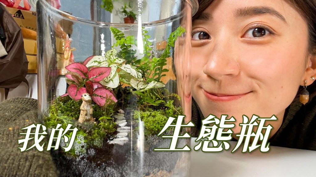 我做了一個生態瓶!真的豪可愛啊~~~|金魚腦 Goldfish Brain feat.Yahoo