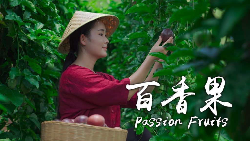 「一席一果」水果藥王——百香果【滇西小哥】