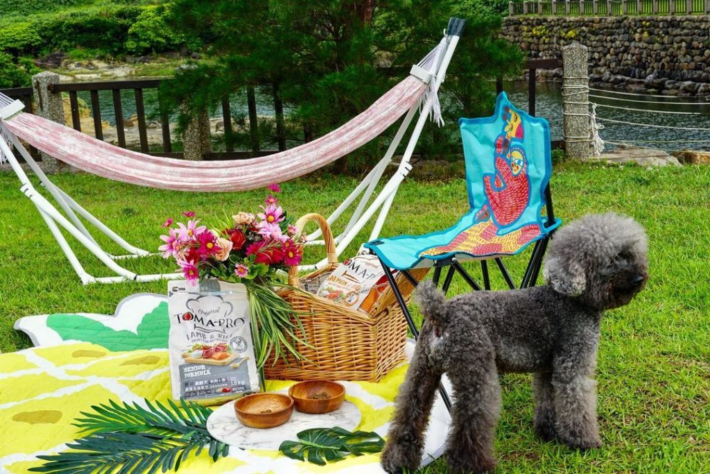 璐露野一直想辦一場毛小孩的野餐派對
大家想要一起來嗎? (大家一起來集氣
這次剛…