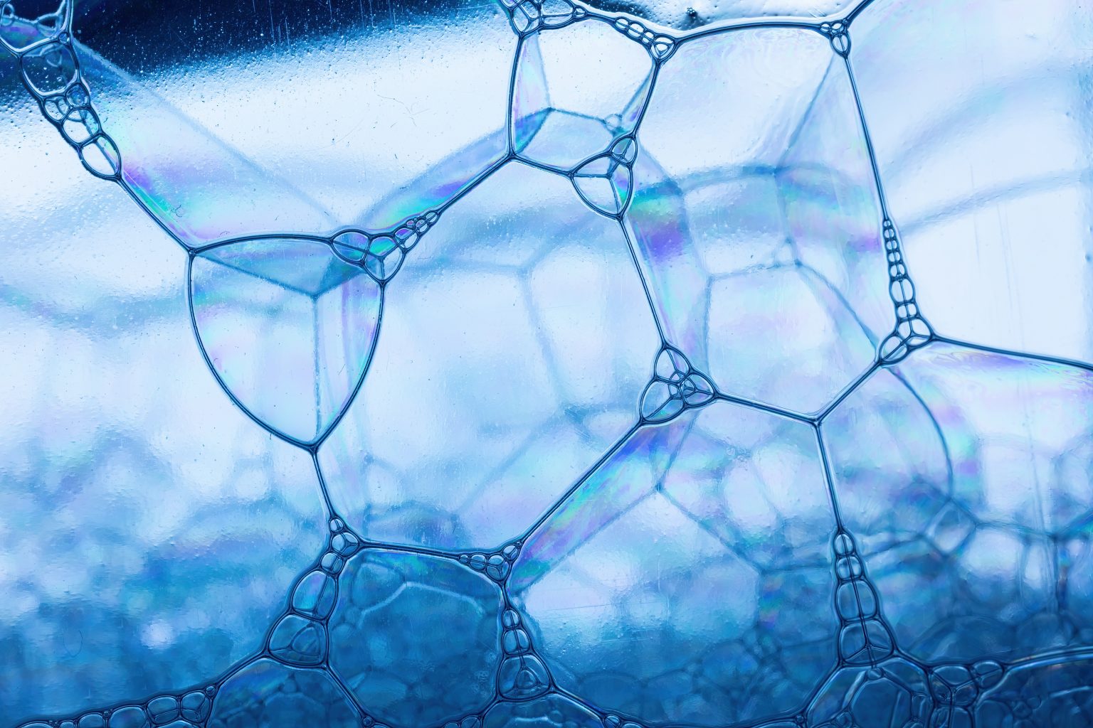 膠原蛋白為什麼對肌膚這麼重要❓你不能不知的七大好處❗️