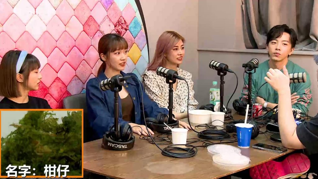 木曜團寵登場!!!!!