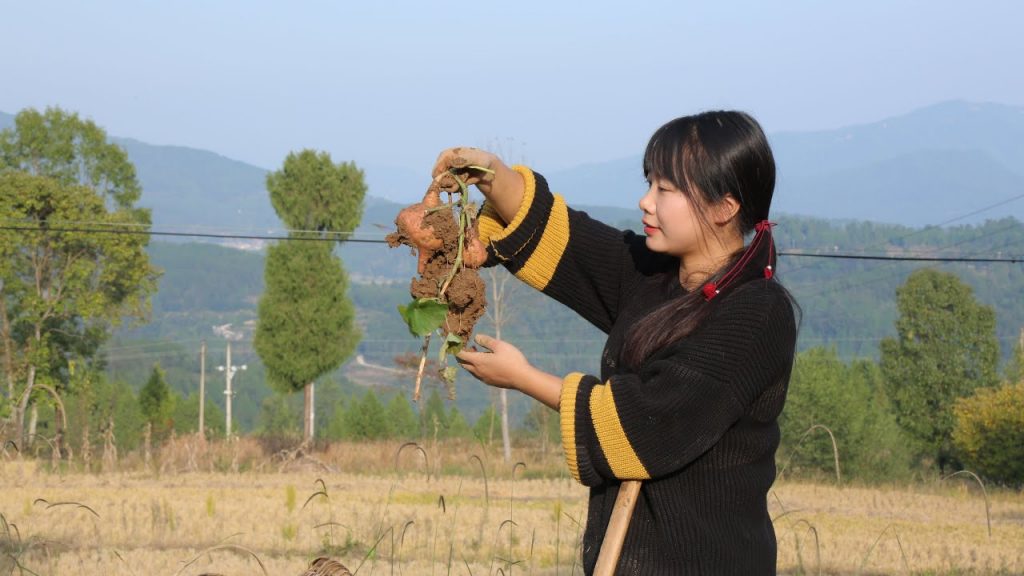 【二米炊煙】花6個月的時間種出紅薯,做成澱粉和寬粉,煮個火鍋吃真滿足
