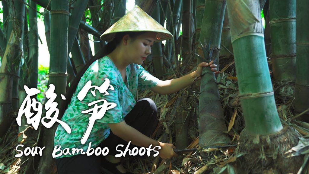 酸筍——雲南傣味菜裡的靈魂調味料【滇西小哥】