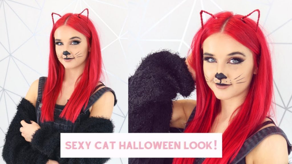 2021 年最佳貓教程