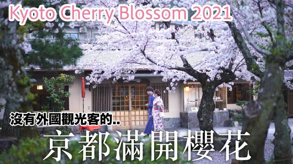 跟我去看沒有外國觀光客的京都滿開櫻花日常🌸 這些都是疫情後必去!! 哲學之道/祇園/鴨川/嵐山/滋賀八幡掘 + 大街小巷的京都日常