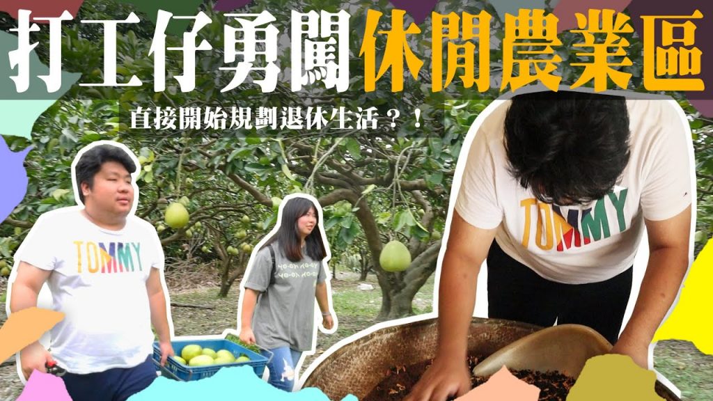 萬能打工仔!又採柚子又烘茶葉~到底什麼時候要放飯啦😭【阿航去打工#2】