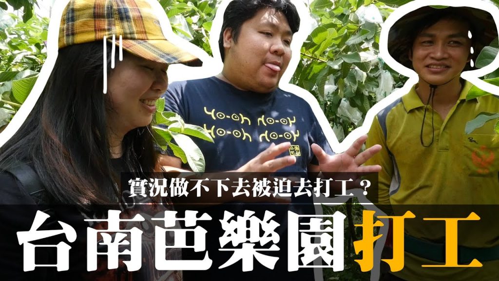 統神終於撐不住去打工了?南下芭樂園當薪水小偷【阿航去打工#1】