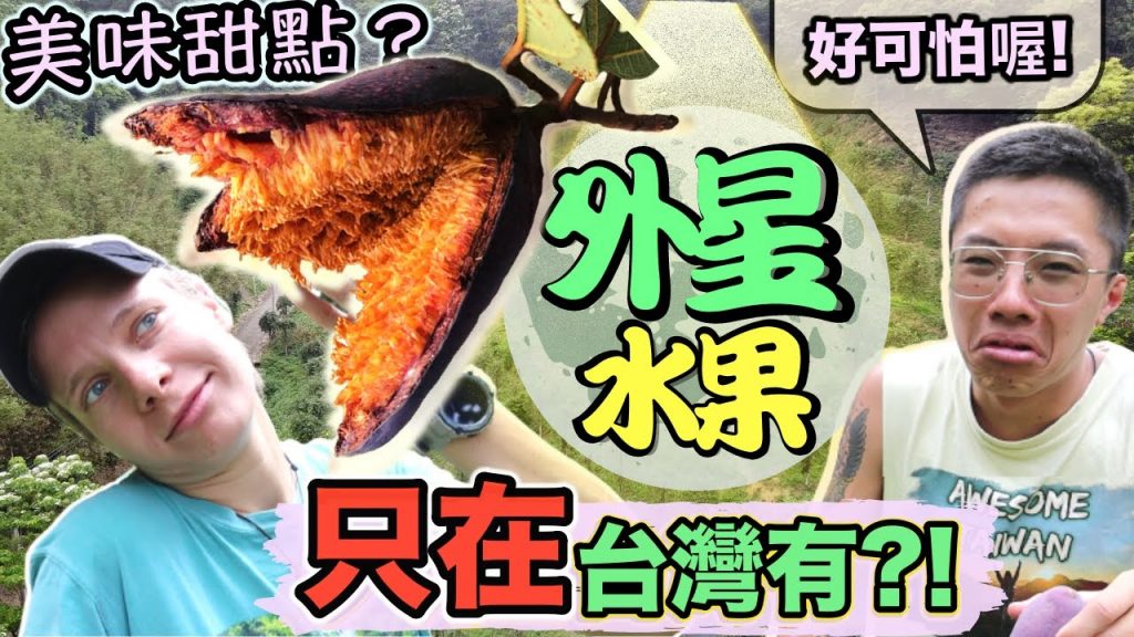 全世界只有台灣有的水果! 好吃到停不下來😱 最健康的甜點🍰 The most special fruit of Taiwan 🇹🇼 Healthy dessert