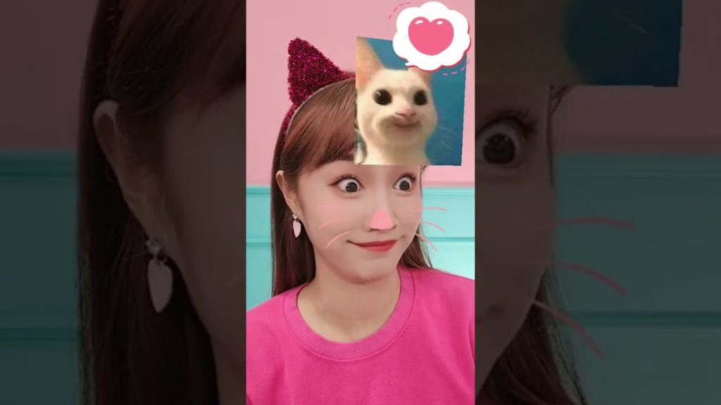 #給大家介紹一下#這也太可愛了吧#我和我的貓#萌貓#可愛的小貓咪#可愛的貓咪#貓眼#賣萌#嘿基尼