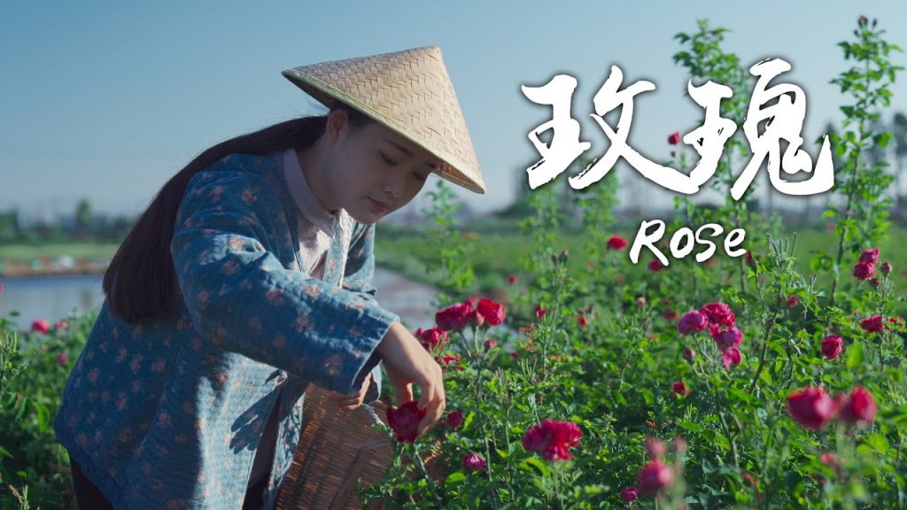 玫瑰花醬——蒼山洱海邊的獨特香甜【滇西小哥】