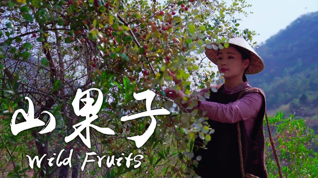 丁香、酸李子、滇橄欖,這些山里的果子你們吃過嗎? 【滇西小哥】