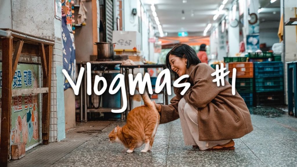 【Vlogmas#1】台北工作日常、新牙套、基隆一日拍攝|林宣 Xuan Lin