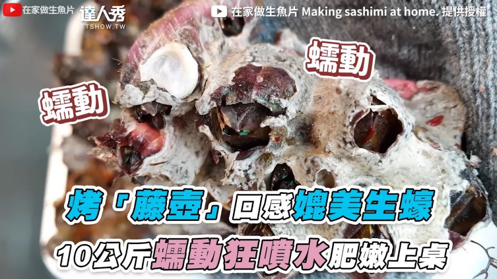 【在家烤「活藤壺」狂噴水!10公斤一起蠕動發出咕嚕聲】|@在家做生魚片 Making sashimi at home.