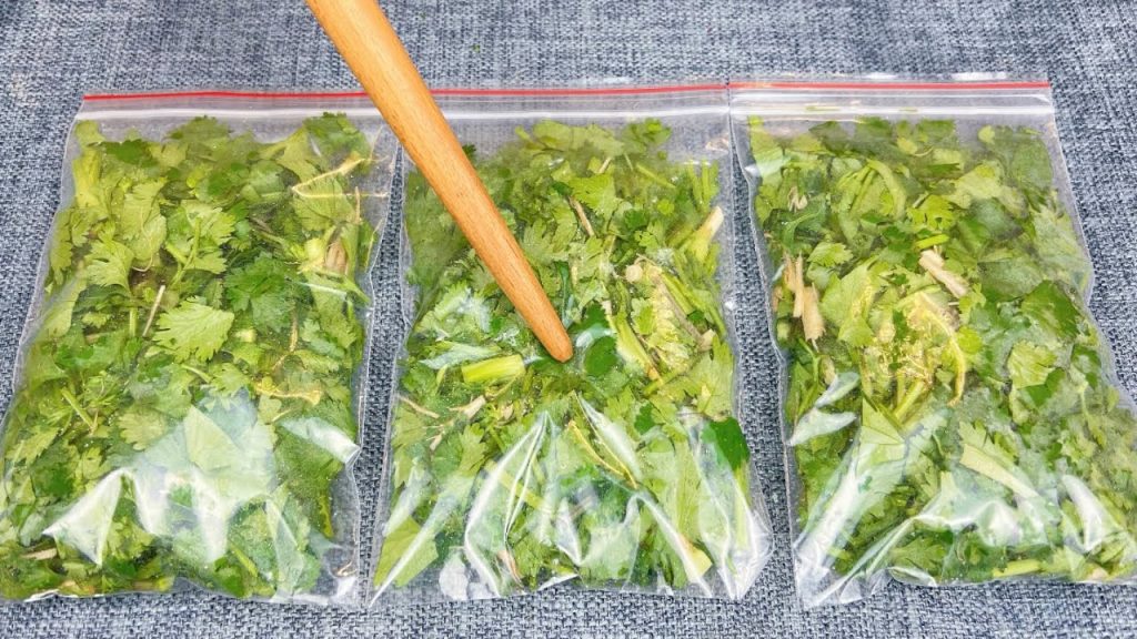 把香菜裝入袋子中,存放一年和新鮮一樣,隨吃隨取,真的太方便了,快學一學 ,save cilantro life hacks ,保存香菜