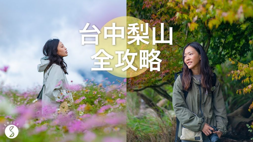 Spice 台中🌶️ | 台中梨山楓葉、櫻花季全攻略!武陵農場/福壽山農場該怎麼安排? 梨山原民美食