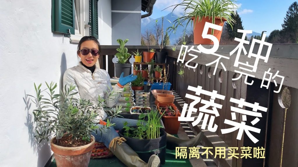 5種只需要買一次就吃不完的蔬菜,新冠病毒隔離期間不出門,戴冠就可以種蔬菜,去超市買菜啦