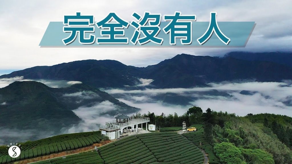 Spice 阿里山🌶️ |「報復性出遊」是假新聞? 阿里山也有無人步道和秘境!