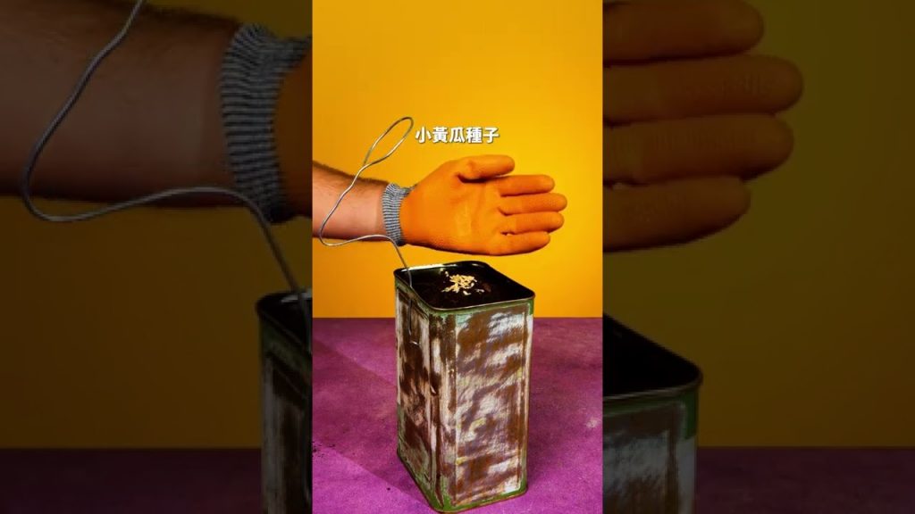 超實用園藝技巧 #shorts