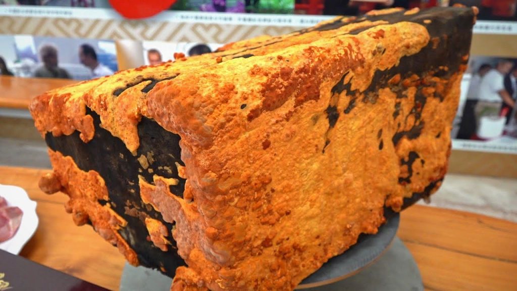 A master of Antrodia Cinnamomea prepares a medicinal fungus chicken soup / 台灣牛樟芝達人, 牛樟菇雞湯