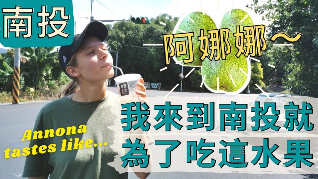 我們竟然為了這水果來南投!! 只有南投吃的到!! 挑戰全台最長的吊橋!! 日月潭新景點| 雙龍七彩吊橋| 南投美食 – Nantou trip, trying rare Annona fruit