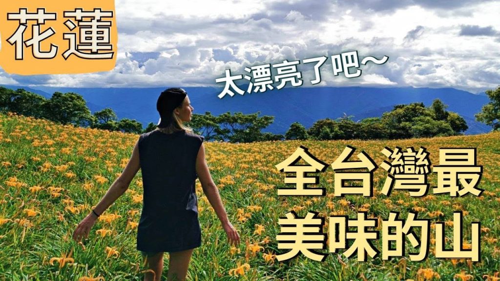 花蓮的金色山脈!! 金針花海大爆發!!花蓮秘境瀑布|赤科山|花蓮在地美食|鐵份瀑布|Day trip to Chike moutain to see daylilies|Best of Hualien