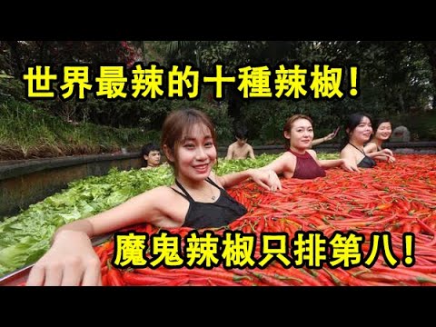世界上最辣的十種辣椒,魔鬼辣椒只能排進第八名!你敢嘗試麽?