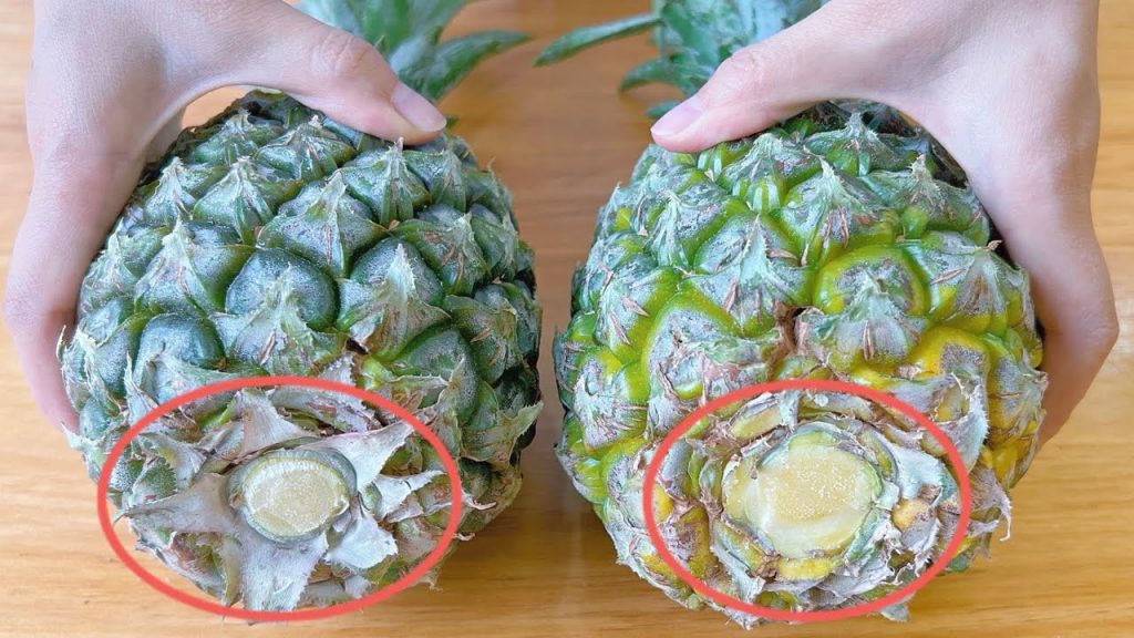 菠蘿好不好,看一眼這個位置就知道,保證你一挑一個准,老果農的方法真管用 , Tips to Pick Ripe Pineapple in 2 Min,挑菠萝