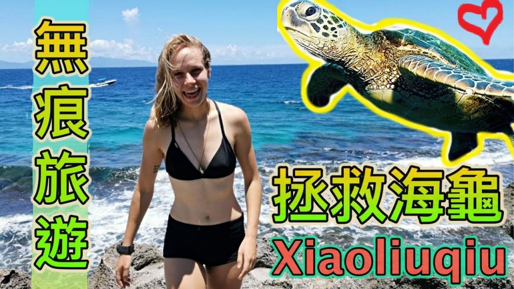 小琉球這樣玩才最琉行!! 用行動拯救海龜!!私房住宿美食一次告訴你!!You can save sea turtles traveling like this in Xiaoliuqiu
