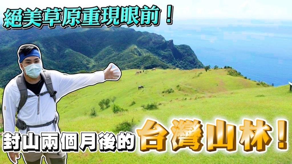 【Joeman】封山兩個月後的台灣山林!絕美草原重現眼前!草嶺古道、桃源谷登山遊記