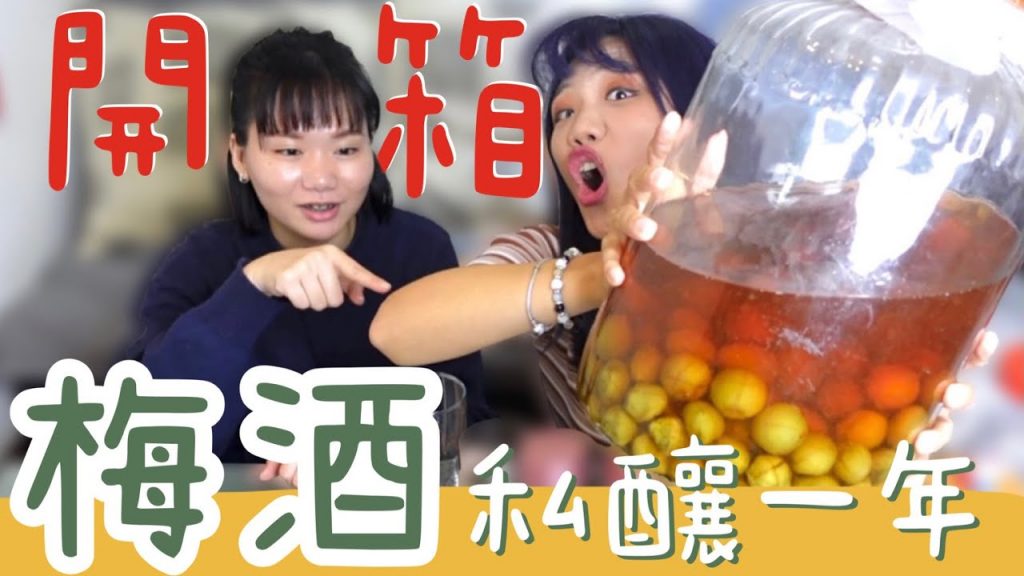 象開箱|釀梅酒成功!!最好喝的竟然是它? 九種梅酒喝法,烏龍茶也太讚了吧!