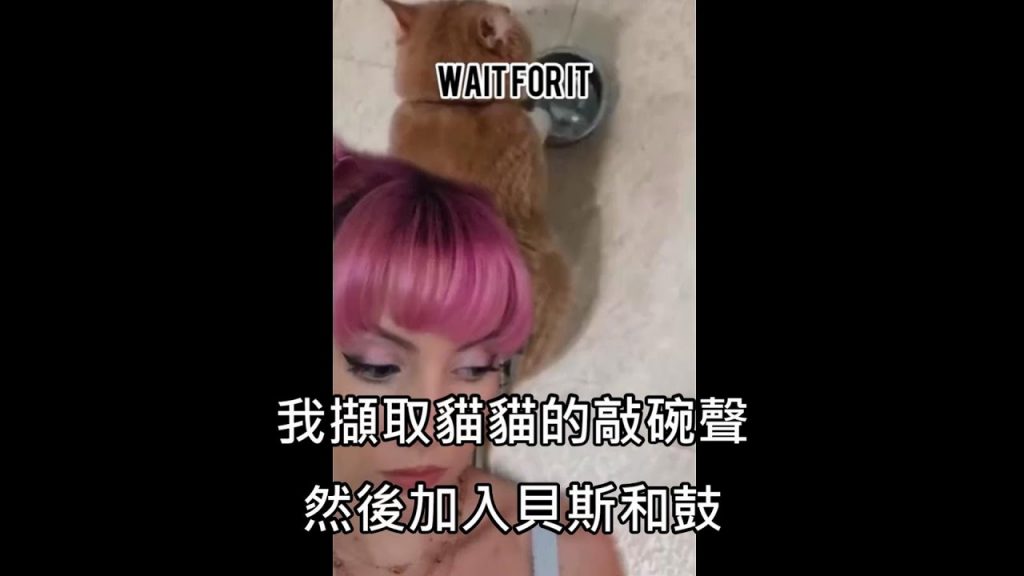 配音員把貓的敲碗聲直接改編成歌曲,超好聽成品讓鄉民呼“不”(中文字幕)