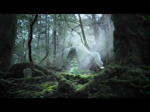 極上御藏 傳奇霜|SHISEIDO 資生堂國際櫃