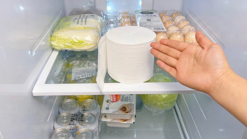 把紙巾放進冰箱里,沒想到作用這麼厲害,解決了家裡的一大煩惱,快回家試試,paper towels in the refrigerator Life Hacks
