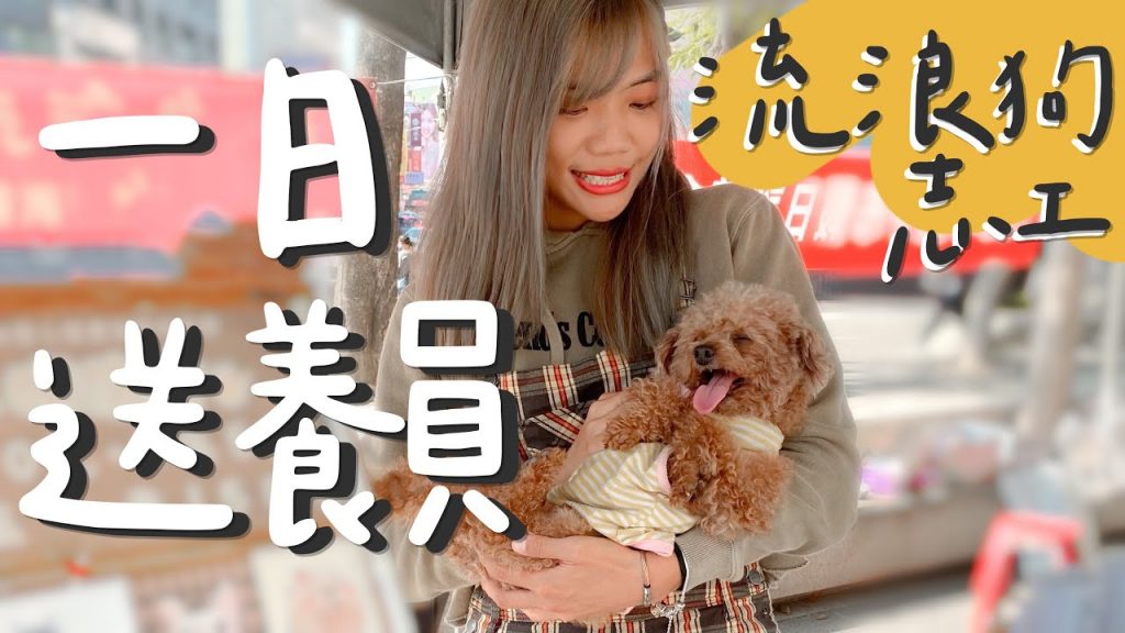 象來挑戰|一日送養員,幫浪浪找新家!流浪狗志工挑戰,領養代替購買~