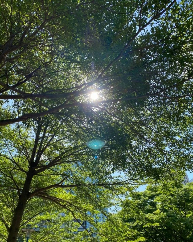 2021.0505 #愛自己 #童年 #關心
全心只為幫助別人
只要有…