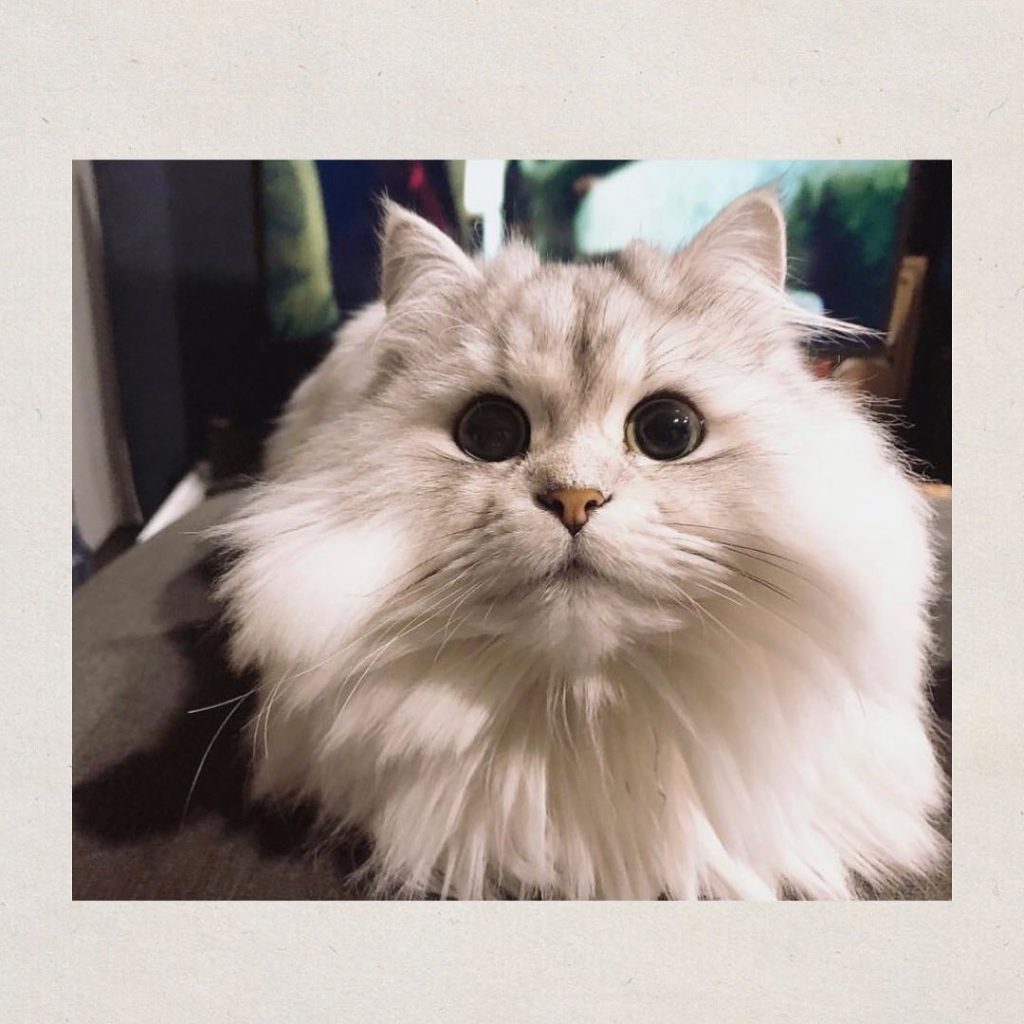 在意輿論太累
鼓勵大家儘管活在自己的世界
工作室小歸小裏頭歡笑不斷
不一定要出外…