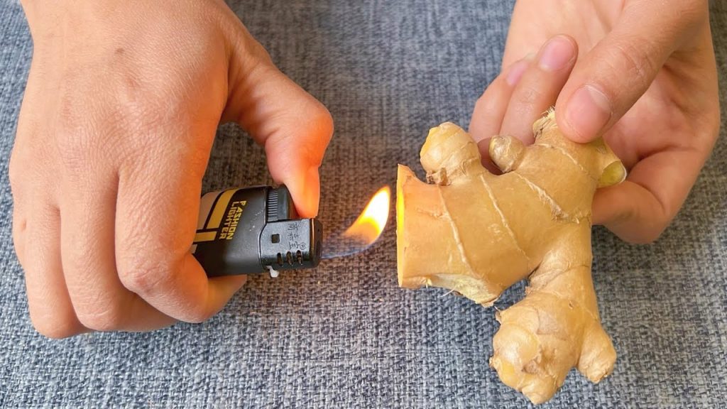 把生薑用打火機燒一燒,作用真厲害,解決了家裡各種困擾,沒想到生薑還能這樣用 ,Ginger is burned with a lighter, it’s amazing, Life Hacks