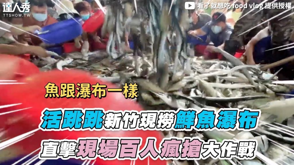 【活跳跳新竹現撈鮮魚瀑布 直擊現場百人瘋搶大作戰】|@看了就想吃 food vlog