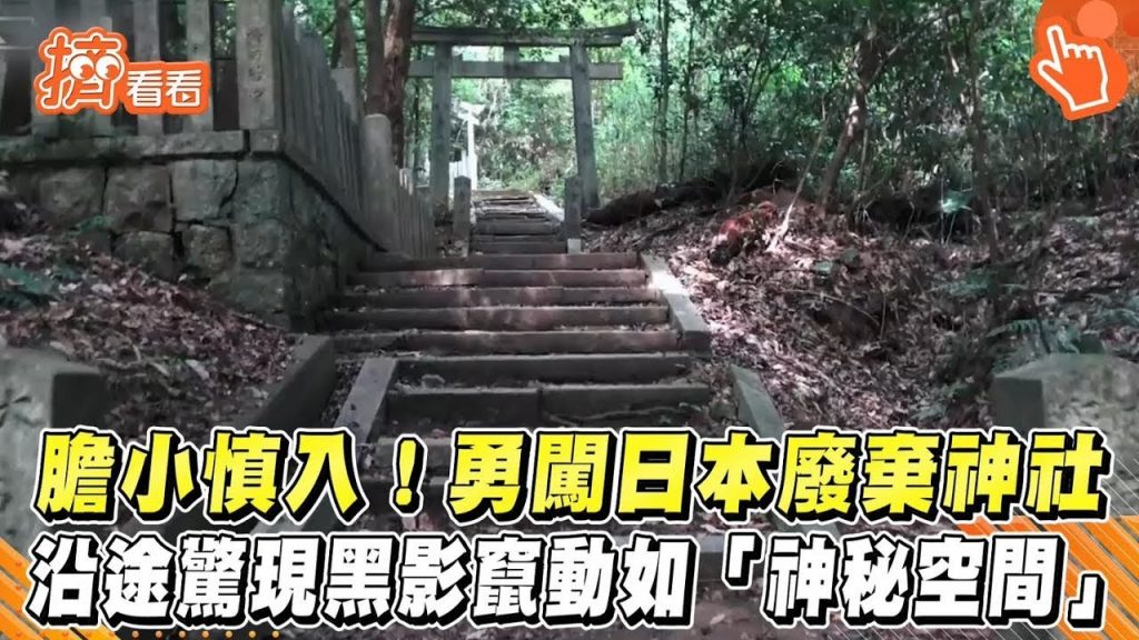 膽小慎入!勇闖日本廢棄神社沿途驚現黑影竄動如「神秘空間」|TVBS新聞|擠看看