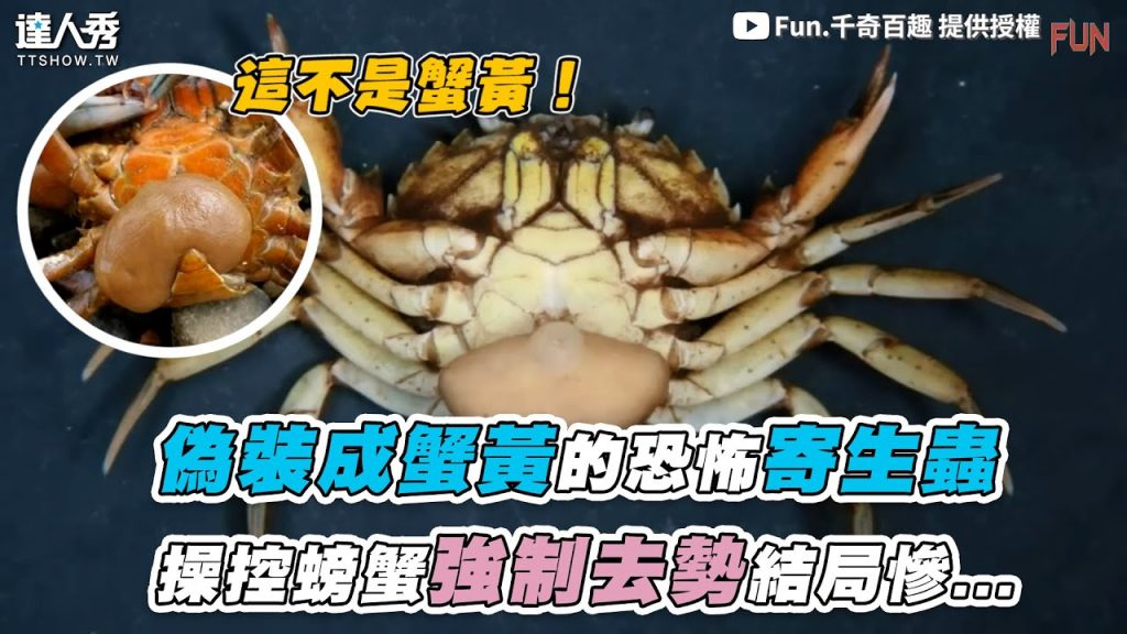 【偽裝成蟹黃的恐怖寄生蟲 操控螃蟹強制去勢結局慘…】|@Fun.千奇百趣