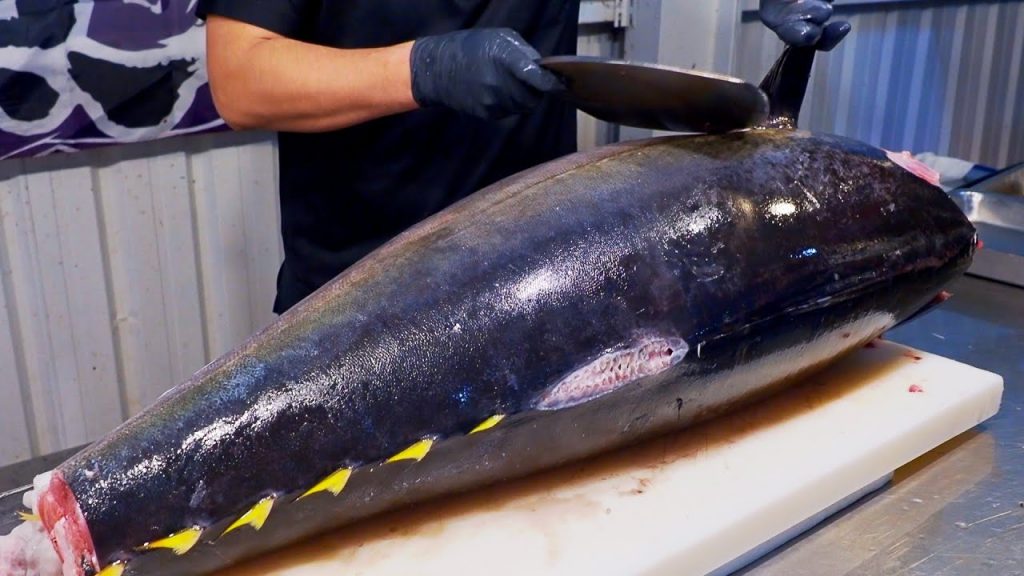 World’s Sharpest Tuna Knife!Superb yellowfin Tuna cutting skill, Luxurious sashimi / 最鋒利的刀!黃鰭鮪魚切割技能