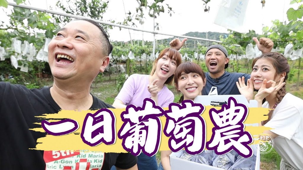 《一日系列第一百三十九集》首次一季系列誕生!邰邰帶上溫妮、泱泱、阿部瑪利亞,讓你知道葡萄怎麼過一生!-一日葡萄果農