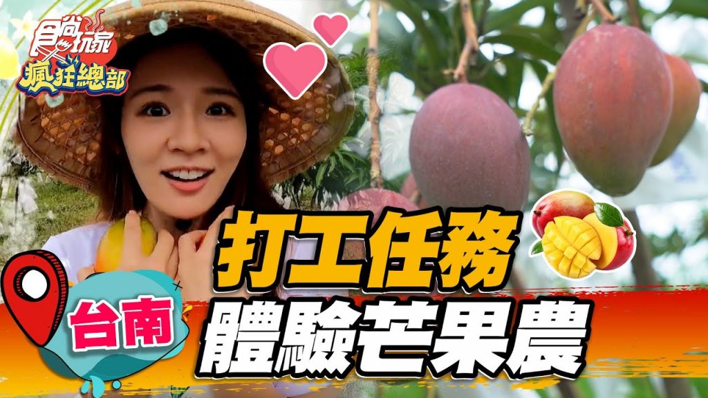 【台南】打工任務體驗芒果農【食尚玩家瘋狂總部】20220707 (3/4)