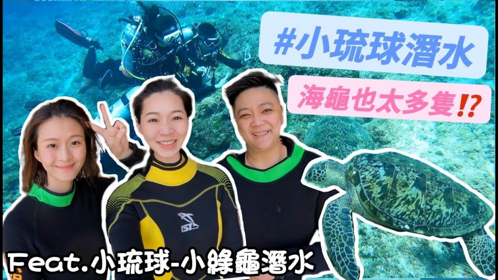 【小琉球】潛水Vlog小琉球潛水也太多海龜了吧!?feat.小琉球-小綠龜潛水|空姐愛七桃