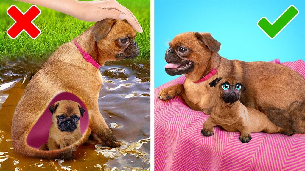 你需要知道的超讚生活小秘訣