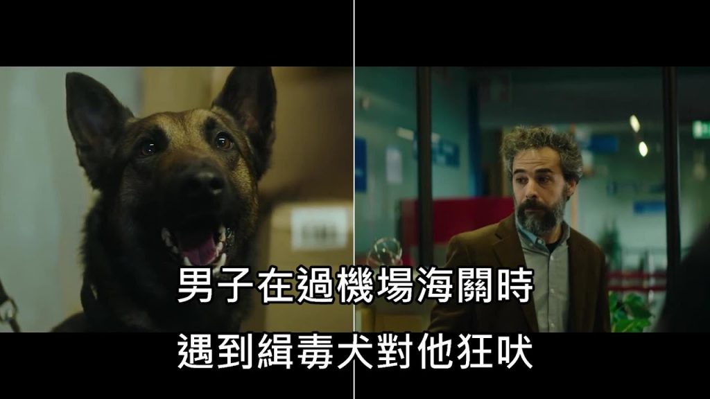 男子過海關時被緝毒犬狂吠,沒帶違禁品的他原本超納悶,直到被海關“花”時才恍然大悟