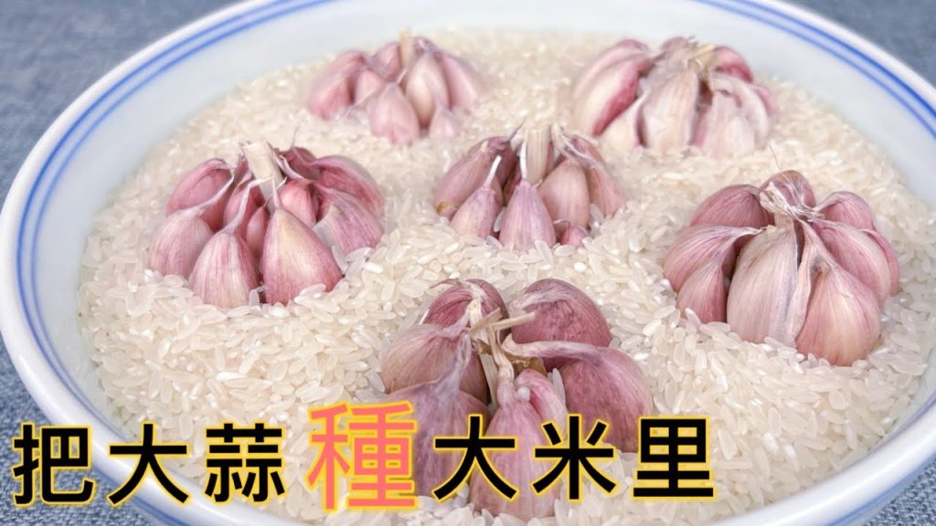 今天才知道,往大米里放幾個大蒜,作用這麼厲害,一年能省不少錢 , A recipe of Rice garlic