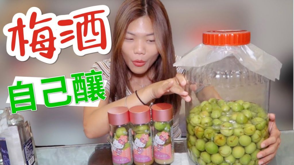 【宅在家】釀梅酒不 NG !青梅季第一次就上手【不出門系列 #1】|小象