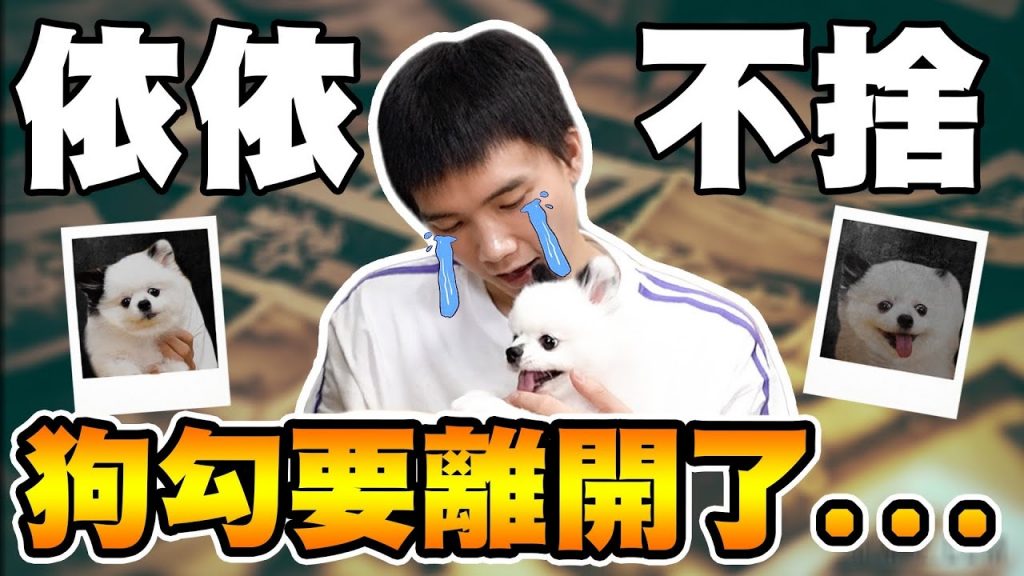 狗狗要離開了…送走前帶牠做寵物溝通!【黃氏兄弟】