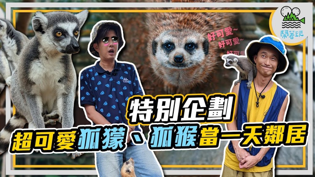 中年任性男子的浪漫公路出走記 | 暫別妻小毫無罪惡感の不思議住宿體驗【鬧著玩289】